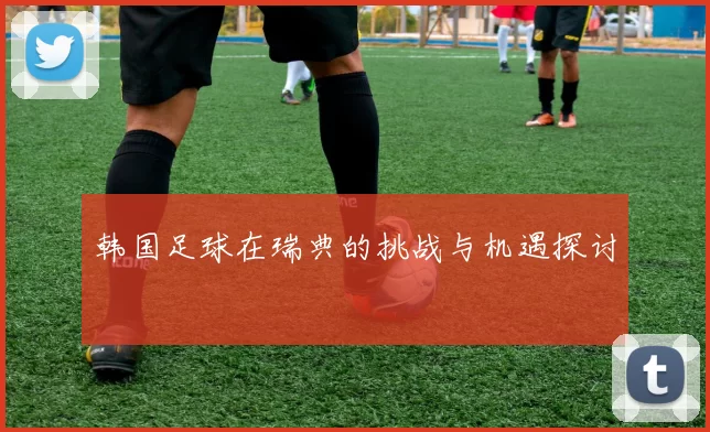 韩国足球在瑞典的挑战与机遇探讨