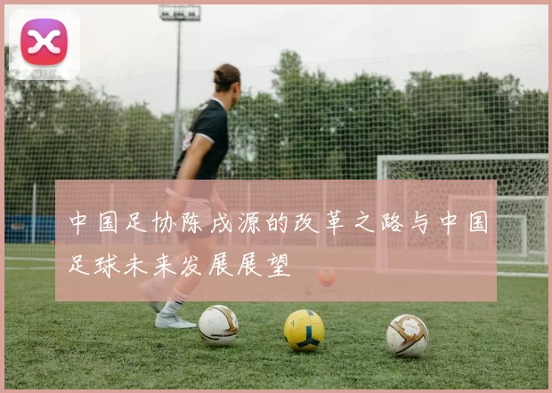 中国足协陈戌源的改革之路与中国足球未来发展展望