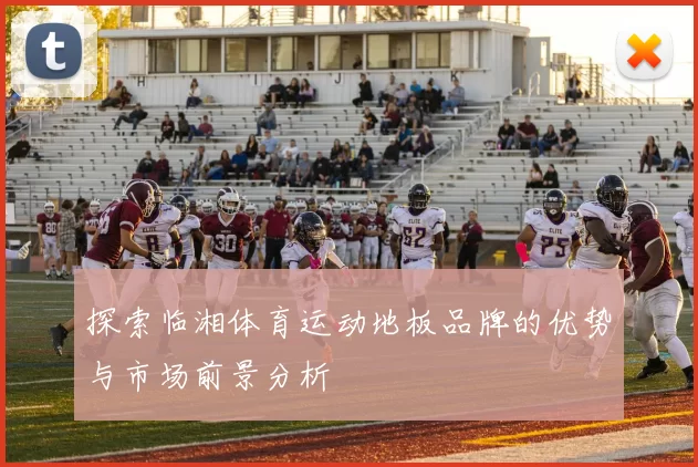探索临湘体育运动地板品牌的优势与市场前景分析